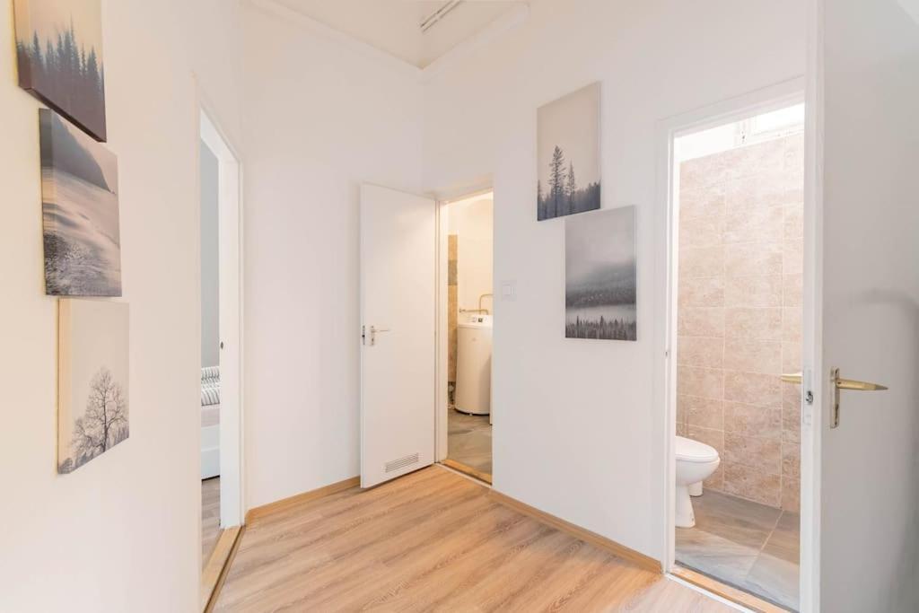 Queen Erzsebet Apartment بودابست المظهر الخارجي الصورة