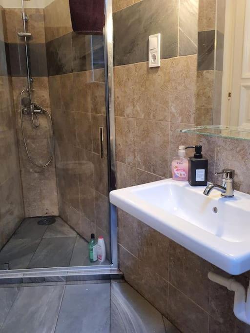 Queen Erzsebet Apartment بودابست المظهر الخارجي الصورة